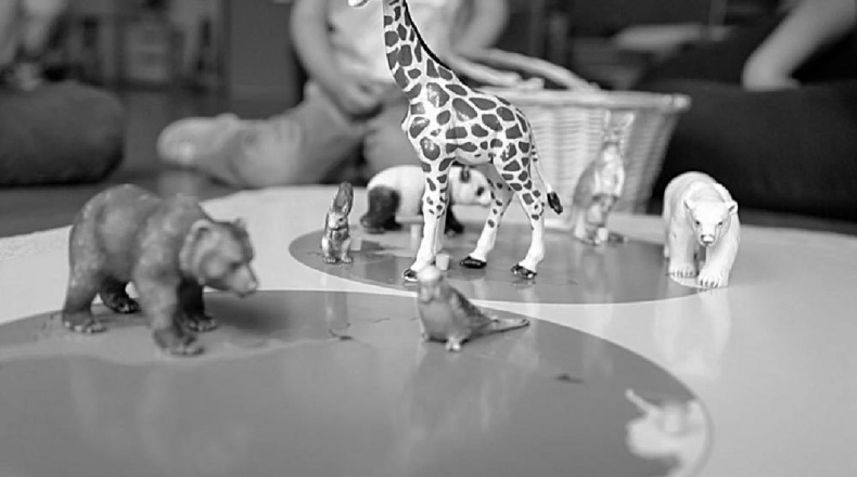 Иллюстрация к книге — Законы естественного развития ребенка [i_014.jpg]