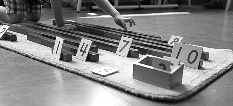 Иллюстрация к книге — Законы естественного развития ребенка [i_022.jpg]