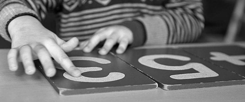 Иллюстрация к книге — Законы естественного развития ребенка [i_023.jpg]