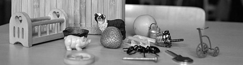 Иллюстрация к книге — Законы естественного развития ребенка [i_034.jpg]