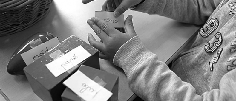 Иллюстрация к книге — Законы естественного развития ребенка [i_042.jpg]