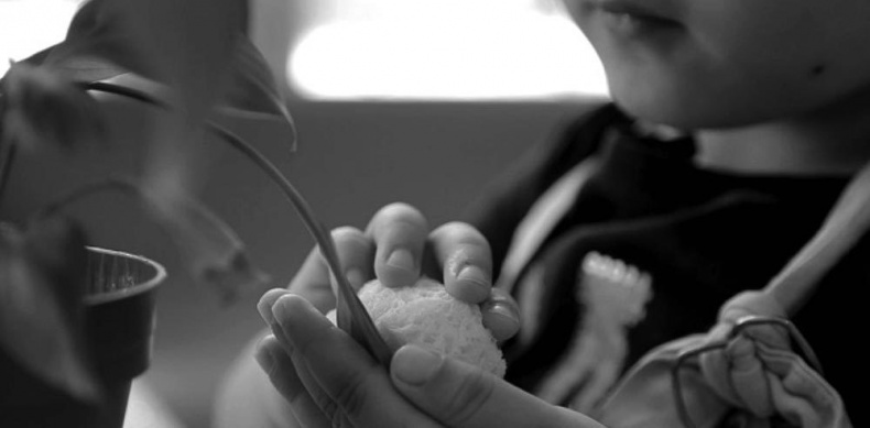 Иллюстрация к книге — Законы естественного развития ребенка [i_050.jpg]