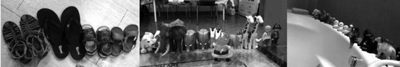 Иллюстрация к книге — Законы естественного развития ребенка [i_058.jpg]