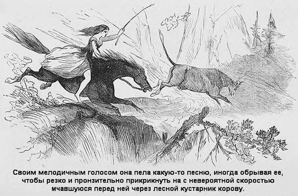 Иллюстрация к книге — В индейских прериях и тылах мятежников. (Воспоминания техасского рейнджера и разведчика) [i_015.jpg]