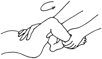 Иллюстрация к книге — Энциклопедия методов раннего развития [i_003.jpg]