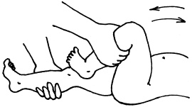 Иллюстрация к книге — Энциклопедия методов раннего развития [i_005.jpg]