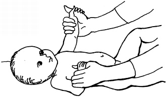 Иллюстрация к книге — Энциклопедия методов раннего развития [i_022.jpg]