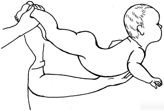 Иллюстрация к книге — Энциклопедия методов раннего развития [i_023.jpg]