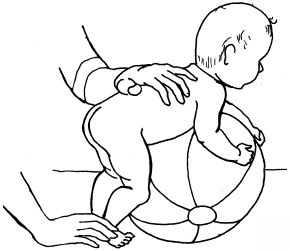 Иллюстрация к книге — Энциклопедия методов раннего развития [i_024.jpg]