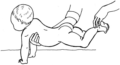 Иллюстрация к книге — Энциклопедия методов раннего развития [i_028.jpg]