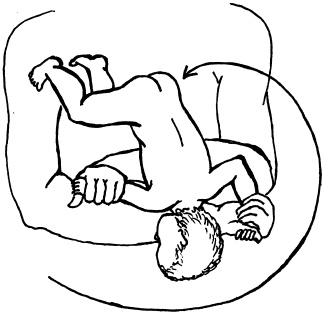 Иллюстрация к книге — Энциклопедия методов раннего развития [i_035.jpg]