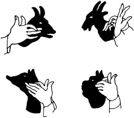 Иллюстрация к книге — Энциклопедия методов раннего развития [i_060.jpg]