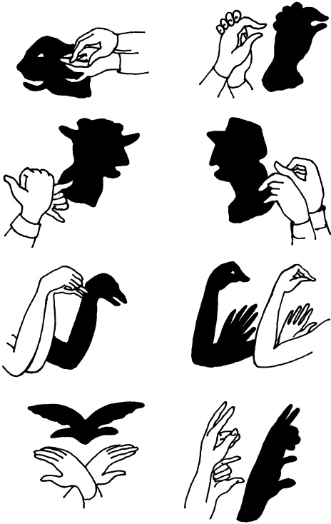 Иллюстрация к книге — Энциклопедия методов раннего развития [i_061.jpg]