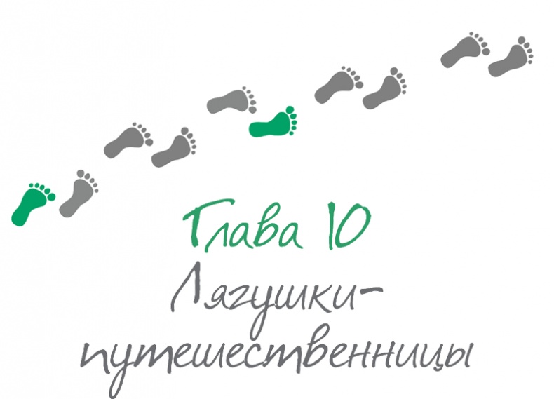 Иллюстрация к книге — Как стать другом своему ребенку. Папа, папочка, папуля [i_013.jpg]