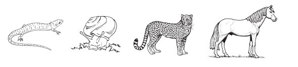 Иллюстрация к книге — Необычная книга для обычных родителей. Простые ответы на самые част(н)ые вопросы [i_024.jpg]