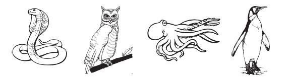 Иллюстрация к книге — Необычная книга для обычных родителей. Простые ответы на самые част(н)ые вопросы [i_025.jpg]