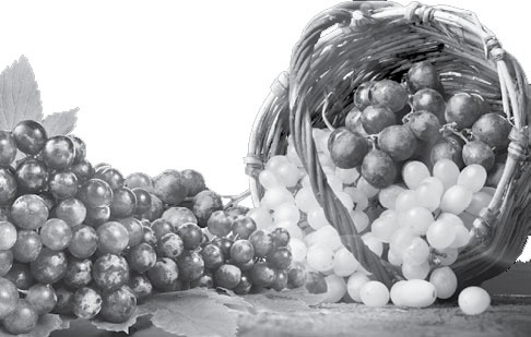 Иллюстрация к книге — Умный виноградник без хлопот [_4.jpg]