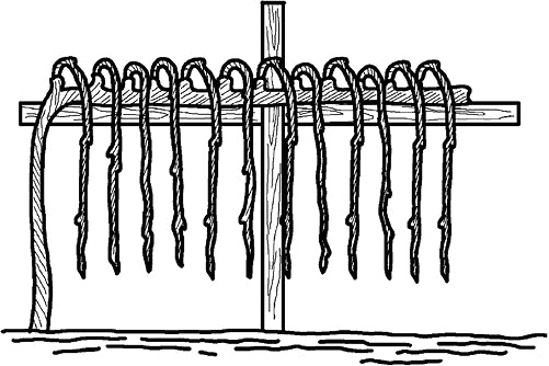 Иллюстрация к книге — Умный виноградник без хлопот [_60.jpg]