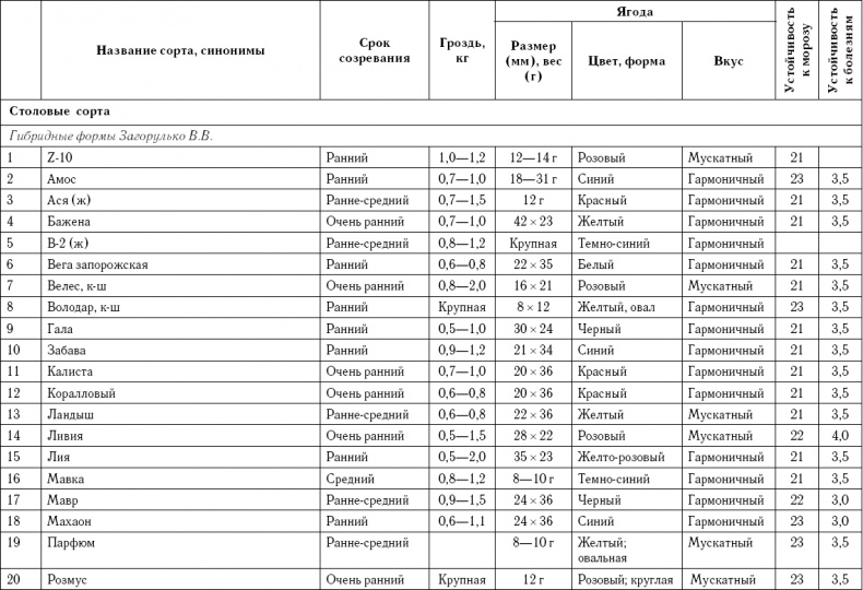 Иллюстрация к книге — Умный виноградник без хлопот [_90.jpg]