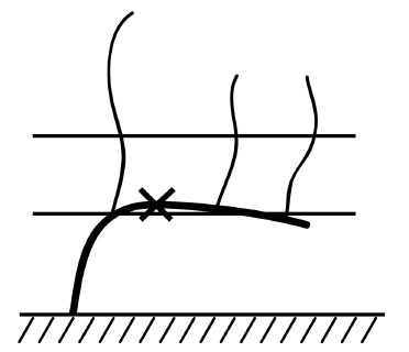 Иллюстрация к книге — Обрезка винограда. Проверенные способы формировки укрывного винограда в средней полосе России [i_016.jpg]