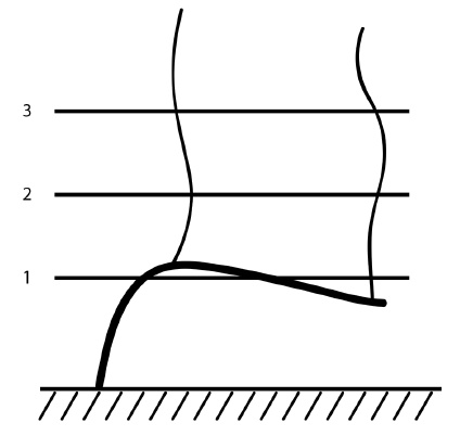 Иллюстрация к книге — Обрезка винограда. Проверенные способы формировки укрывного винограда в средней полосе России [i_021.jpg]
