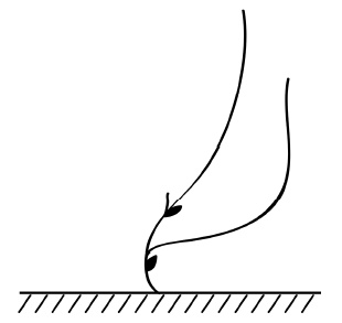 Иллюстрация к книге — Обрезка винограда. Проверенные способы формировки укрывного винограда в средней полосе России [i_028.jpg]