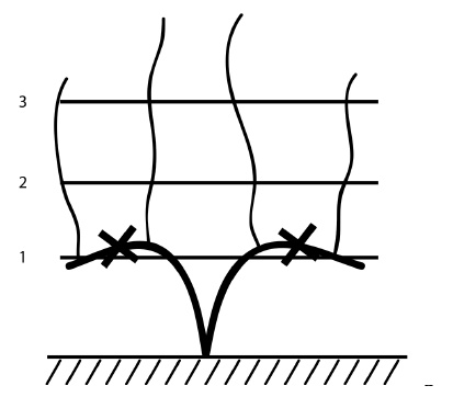 Иллюстрация к книге — Обрезка винограда. Проверенные способы формировки укрывного винограда в средней полосе России [i_035.jpg]