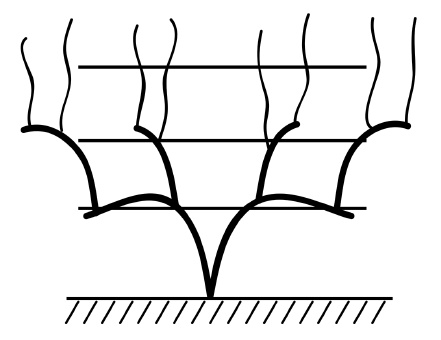 Иллюстрация к книге — Обрезка винограда. Проверенные способы формировки укрывного винограда в средней полосе России [i_037.jpg]