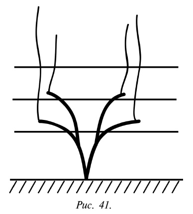 Иллюстрация к книге — Обрезка винограда. Проверенные способы формировки укрывного винограда в средней полосе России [i_042.jpg]