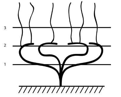 Иллюстрация к книге — Обрезка винограда. Проверенные способы формировки укрывного винограда в средней полосе России [i_044.jpg]