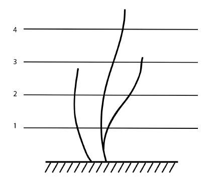 Иллюстрация к книге — Обрезка винограда. Проверенные способы формировки укрывного винограда в средней полосе России [i_056.jpg]