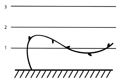 Иллюстрация к книге — Обрезка винограда. Проверенные способы формировки укрывного винограда в средней полосе России [i_058.jpg]