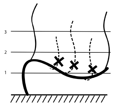 Иллюстрация к книге — Обрезка винограда. Проверенные способы формировки укрывного винограда в средней полосе России [i_060.jpg]