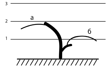 Иллюстрация к книге — Обрезка винограда. Проверенные способы формировки укрывного винограда в средней полосе России [i_080.jpg]