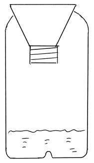 Иллюстрация к книге — Обрезка винограда. Проверенные способы формировки укрывного винограда в средней полосе России [i_087.jpg]