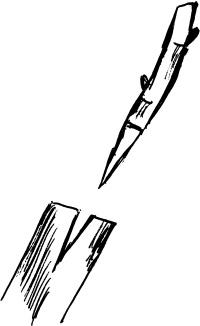 Иллюстрация к книге — Виноград вашего сада в средней полосе России [_48.jpg]