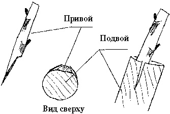 Иллюстрация к книге — Виноград вашего сада в средней полосе России [_50.jpg]