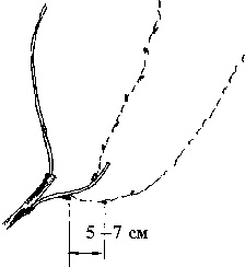 Иллюстрация к книге — Виноград вашего сада в средней полосе России [_62.jpg]