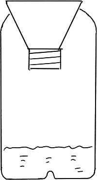 Иллюстрация к книге — Виноград вашего сада в средней полосе России [_72.jpg]