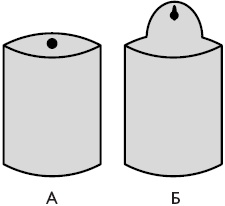 Иллюстрация к книге — Цветы. Лучше, чем у всех. Секреты, хитрости, подсказки умного садовода. Лунный календарь: самый удобный и полезный [autogen_ebook_id11.jpg]