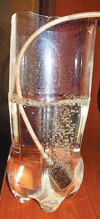 Иллюстрация к книге — Цветы. Лучше, чем у всех. Секреты, хитрости, подсказки умного садовода. Лунный календарь: самый удобный и полезный [autogen_ebook_id125.jpg]