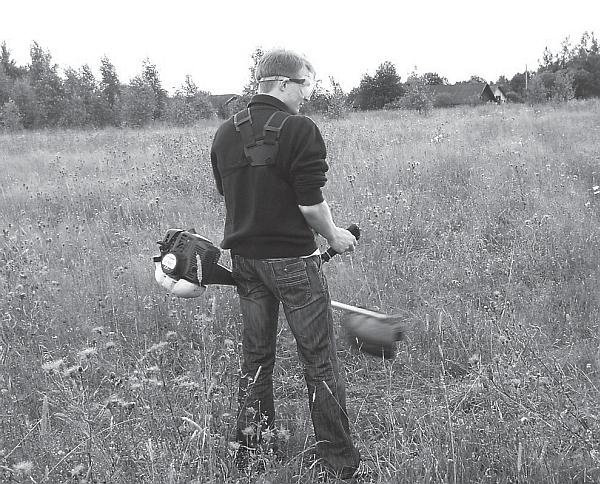 Иллюстрация к книге — Цветы. Лучше, чем у всех. Секреты, хитрости, подсказки умного садовода. Лунный календарь: самый удобный и полезный [autogen_ebook_id22.jpg]