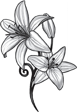 Иллюстрация к книге — Цветы. Лучше, чем у всех. Секреты, хитрости, подсказки умного садовода. Лунный календарь: самый удобный и полезный [autogen_ebook_id33.jpg]