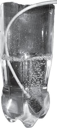 Иллюстрация к книге — Цветы. Лучше, чем у всех. Секреты, хитрости, подсказки умного садовода. Лунный календарь: самый удобный и полезный [autogen_ebook_id42.jpg]