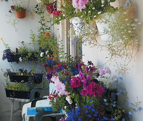 Иллюстрация к книге — Рассада. Лучше, чем у всех! Секреты, хитрости, подсказки умного садовода. Лунный календарь. Самый удобный и полезный [autogen_ebook_id112.jpg]