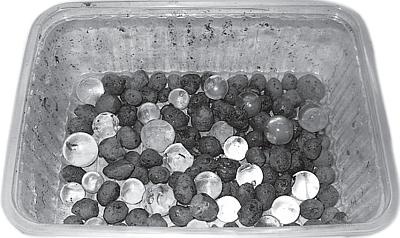 Иллюстрация к книге — Рассада. Лучше, чем у всех! Секреты, хитрости, подсказки умного садовода. Лунный календарь. Самый удобный и полезный [autogen_ebook_id20.jpg]