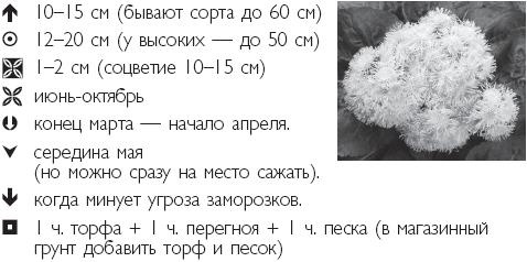 Иллюстрация к книге — Рассада. Лучше, чем у всех! Секреты, хитрости, подсказки умного садовода. Лунный календарь. Самый удобный и полезный [autogen_ebook_id28.jpg]