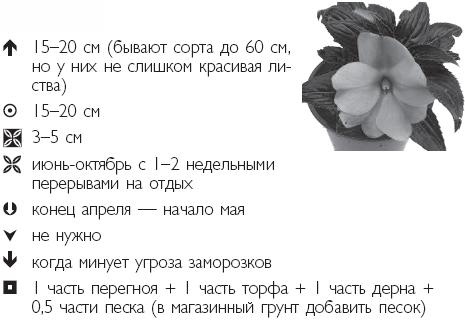 Иллюстрация к книге — Рассада. Лучше, чем у всех! Секреты, хитрости, подсказки умного садовода. Лунный календарь. Самый удобный и полезный [autogen_ebook_id32.jpg]