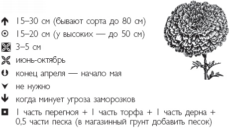 Иллюстрация к книге — Рассада. Лучше, чем у всех! Секреты, хитрости, подсказки умного садовода. Лунный календарь. Самый удобный и полезный [autogen_ebook_id33.jpg]