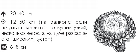 Иллюстрация к книге — Рассада. Лучше, чем у всех! Секреты, хитрости, подсказки умного садовода. Лунный календарь. Самый удобный и полезный [autogen_ebook_id34.jpg]